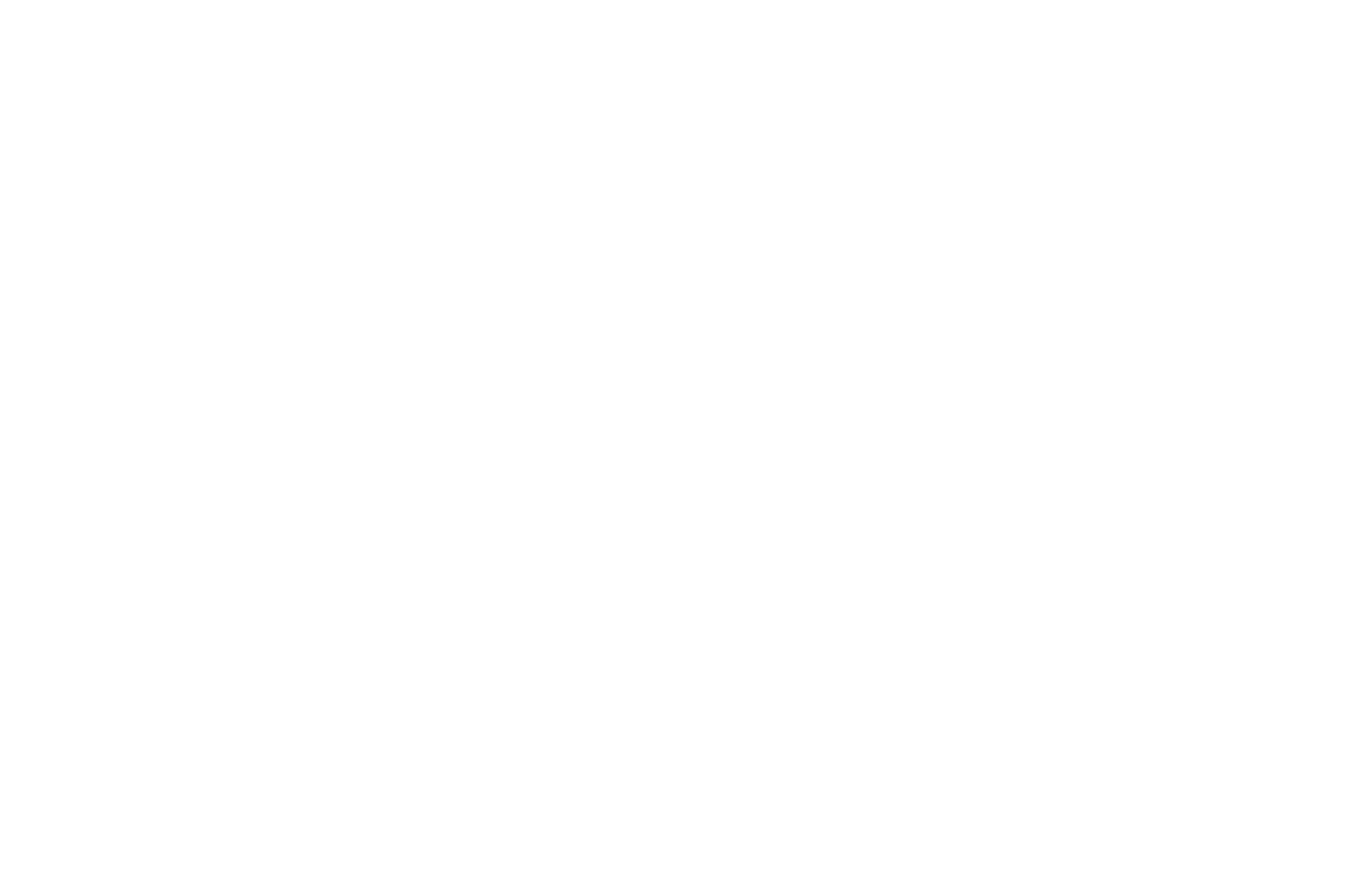Bastionas Logo
