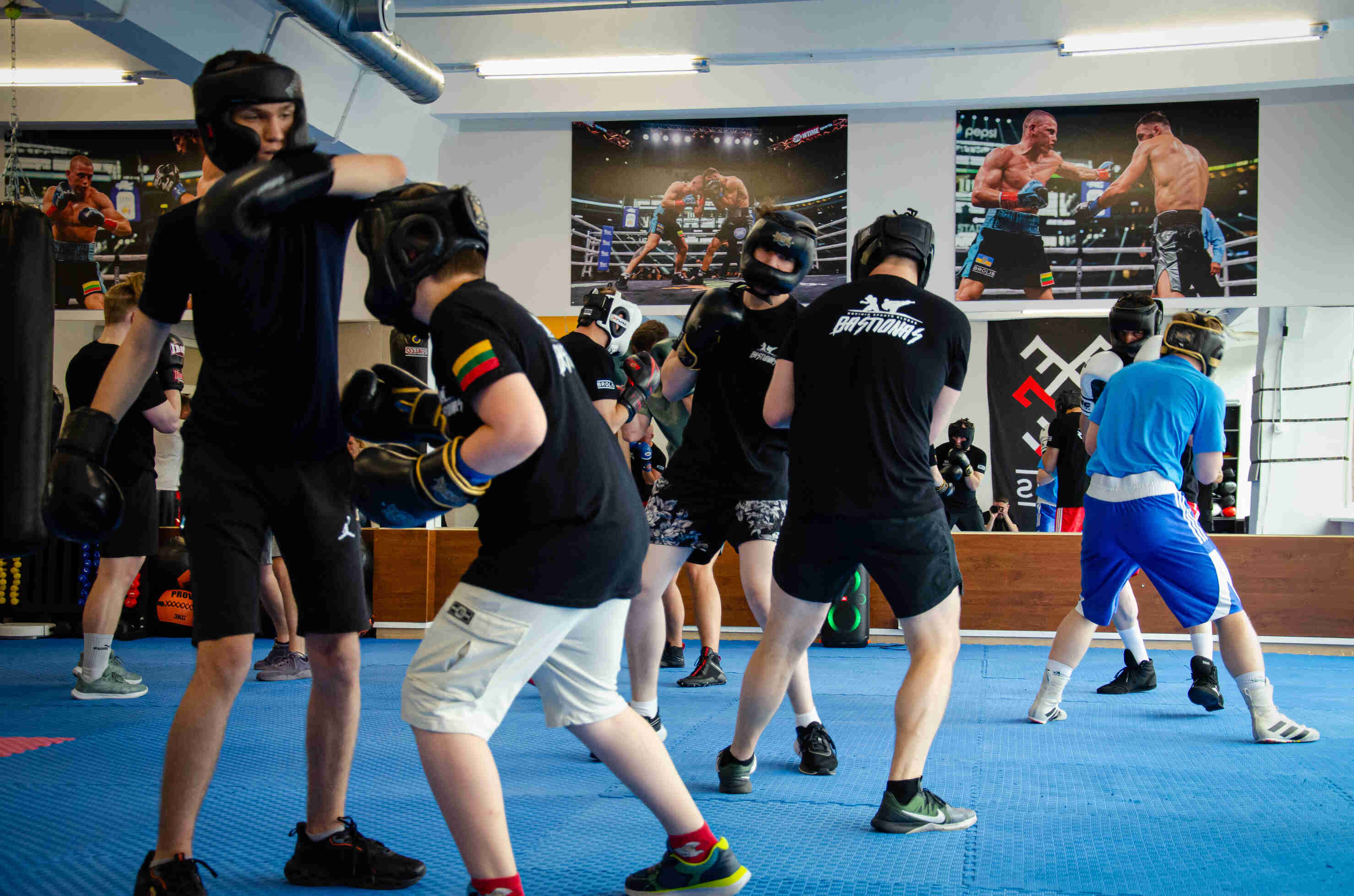 Bastionas Gym Equipment